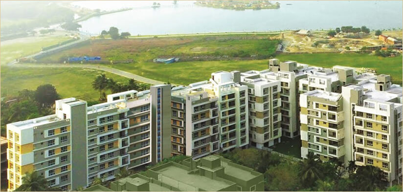 Rishi Ecoview