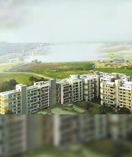 Rishi Ecoview